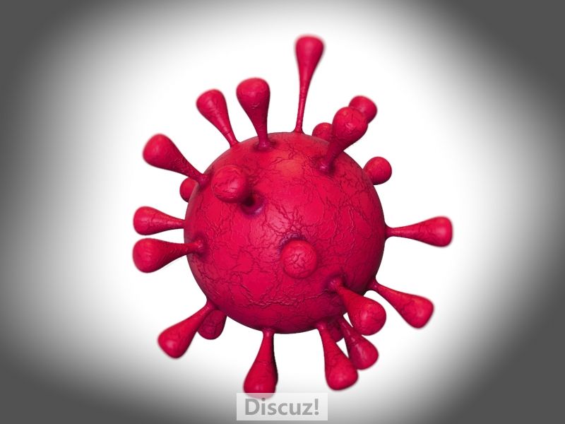 Virus.8-GP-E.jpg