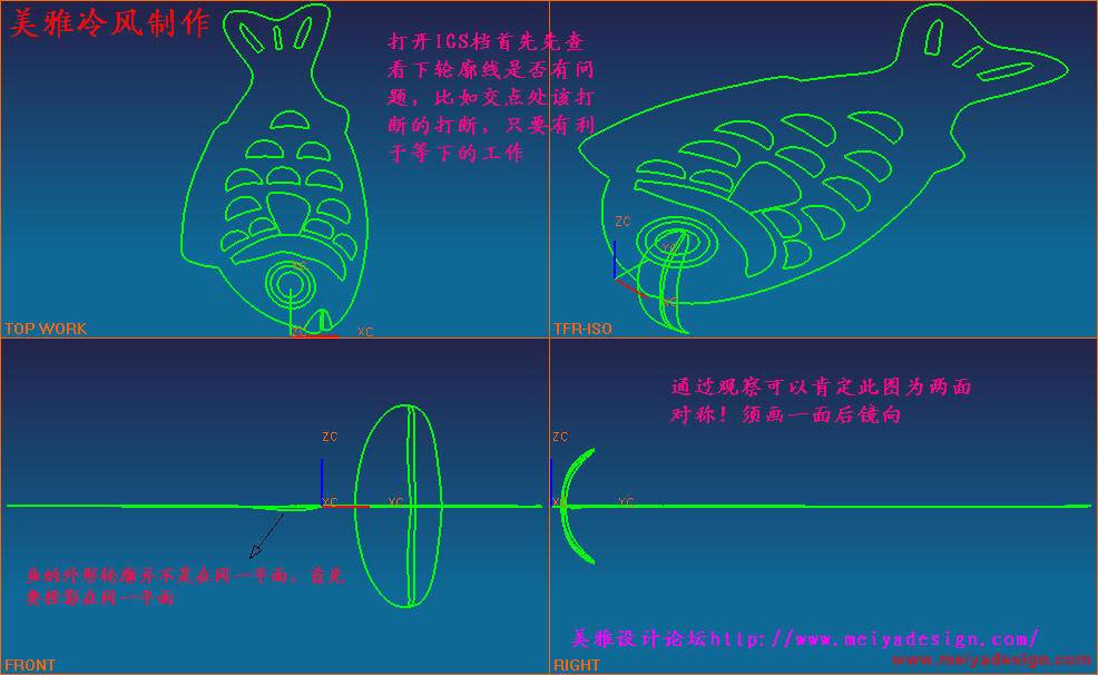鱼1.JPG