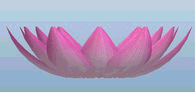 動畫2.gif