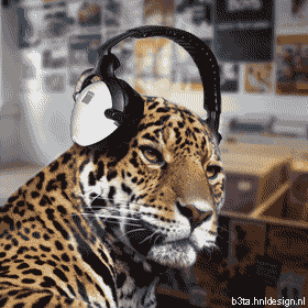 B.gif